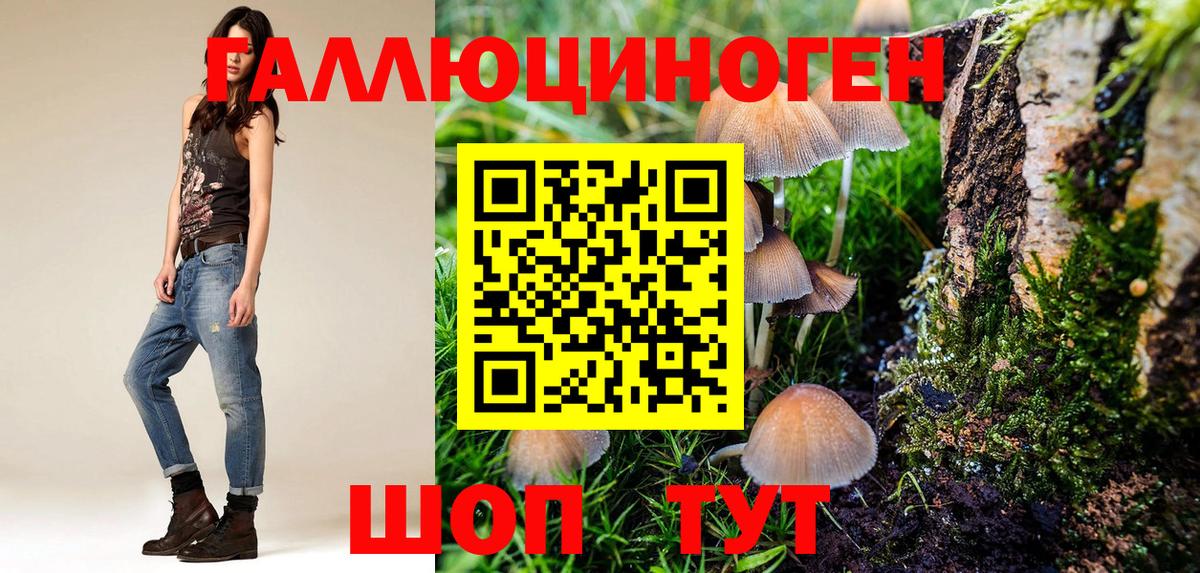 Верхний Уфалей  Псилоцибиновые грибы GOLDEN TEACHER  Вход с VPN  Псилоцибиновые грибы ЛСД 