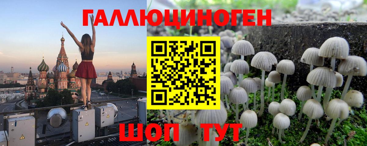 Псилоцибиновые грибы ЛСД Верхний Уфалей